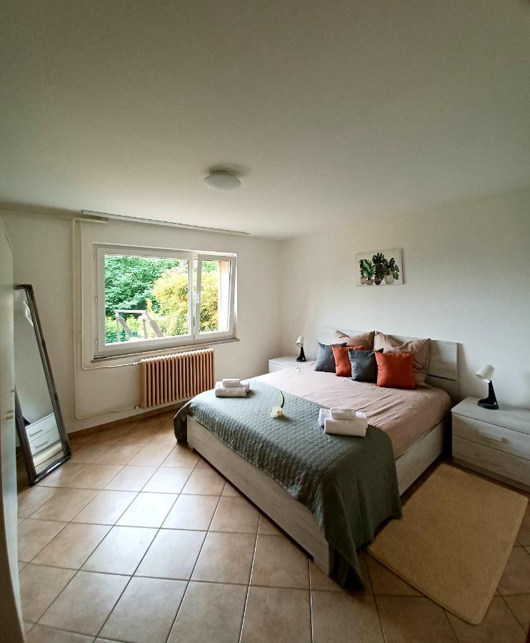I Vallata Paradise I Free Parking - Garden&View - 10Minutes From 盧加諾 外观 照片